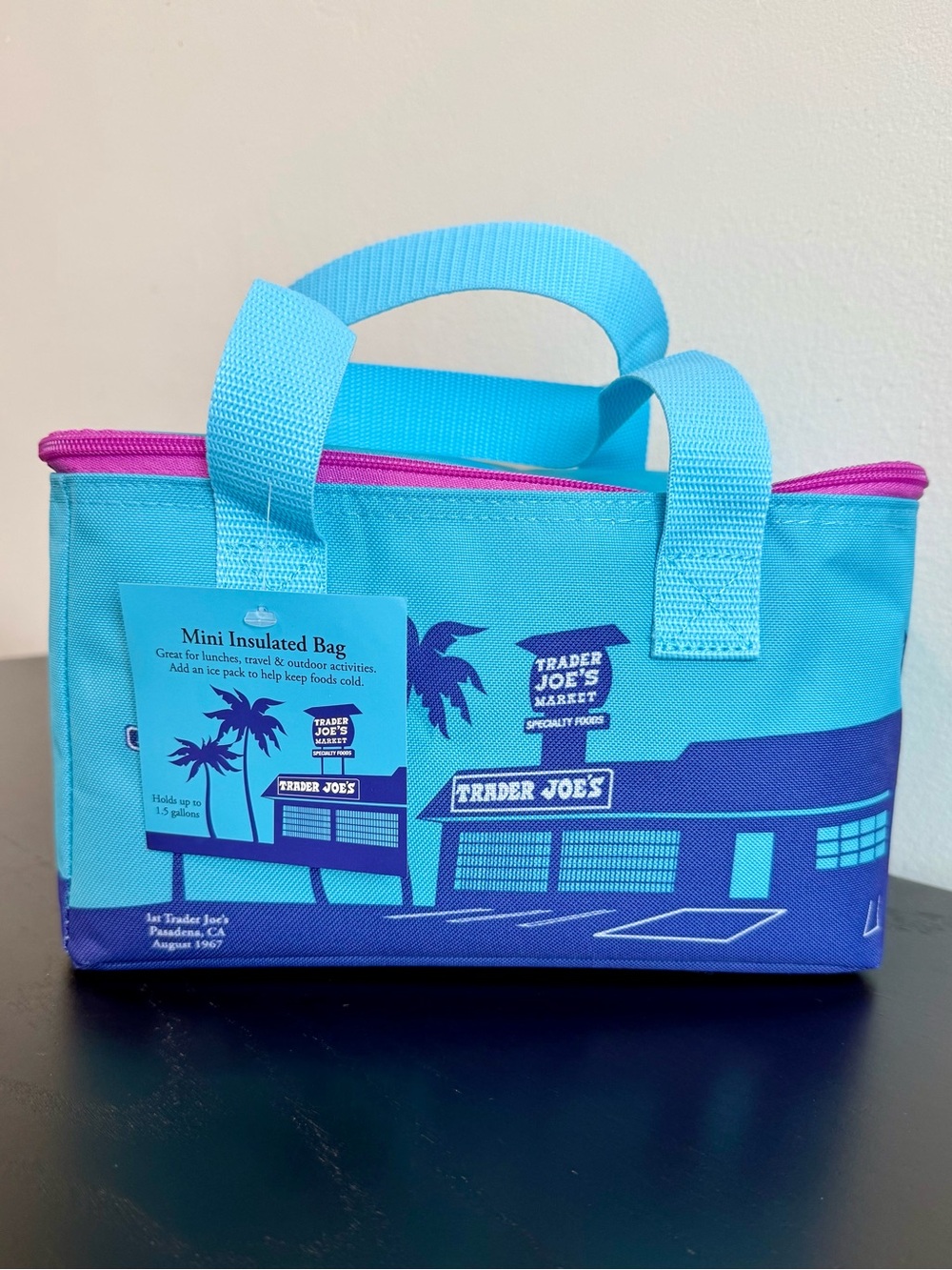 Trader Joe's Striped Mini Insulated Tote - Blue and Pink